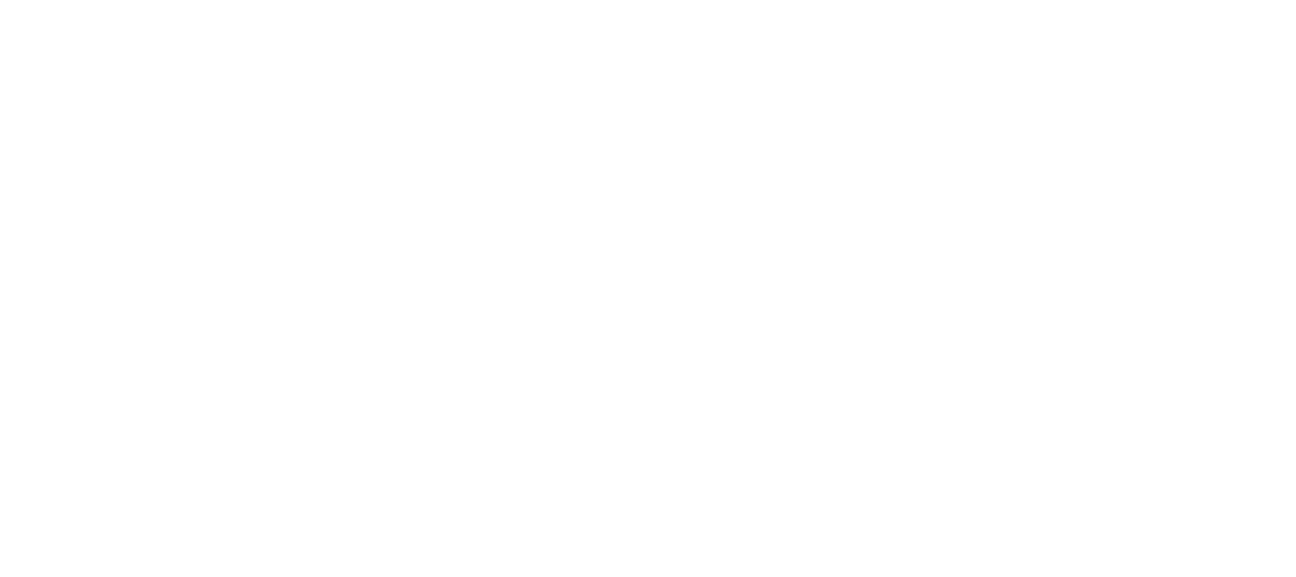 Carnegie Suomi